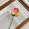 Arranjos de palmeira vermelha e flor de flamingo com aparência realista, ideais para decorações de casamento, arranjos florais de sala de estar e arte floral.