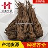 Angelica Hombre 1000g Huamei Medicina Tradicional China Venta al por Mayor Suministro Listo Nueva Llegada Angélica de Gansu
