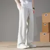 Pantalones de forro polar para hombre para otoño e invierno, corte holgado, versátiles, pantalones largos casuales de algodón, pantalones rectos de moda estilo Hong Kong, pantalones de chándal deportivos