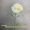 Cravo de Haste Única Flor Artificial Dia das Mães Dia dos Professores Decoração de Quarto Quarto Sala de Estar Arranjo Floral Adereço para Foto
