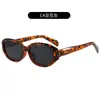 Gafas de Sol Irregulares Estilo Retro Americano INS para Mujer Personalidad de Moda Callejera Gafas de Sol de Moda Estilo Clásico Gafas Versátiles
