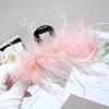 Estilo Deseo Puro Pinza Grande de Plumas para Mujer Parte Trasera de la Cabeza Pluma Multicolor Rojo de Internet Pinza de Tiburón para Sujetar el Cabello 2024 Sentido Avanzado Mao