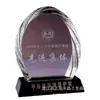 Medalla Blanca Iceberg de Cristal Compañía de Premios Franquicia Autorizada para Hecho a Medida Grabado Gratuito Souvenirs y Adornos de Moneda de Oro y Plata