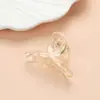 Grande Champagne Cor Transparente Plástico Grande Gravata Borboleta Prendedor de Cabelo para Parte de Trás da Cabeça Disco de Cabelo Acessórios de Material para Headwear Feminino
