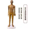 Folha de Cobre para Acupuntura Uso Doméstico Medicina Tradicional Chinesa Silicone Modelo de Diagrama de Meridianos do Corpo Humano com Pontos de Acupuntura