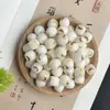 Raíz de Bodhi Natural Cuentas Sueltas Sol, Luna y Estrella Cuentas de Buda Accesorios Pulsera de Cuentas Hecha a Mano DIY Accesorios Venta al por Mayor