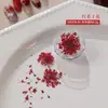 Lentejuela Brillo Joyería Roja para Uñas Estilo Popular de Celebridad de Internet Rojo Sangre de Paloma Año Nuevo Decoración de Uñas Redonda Plana Diamante