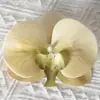 Cabezas de flores artificiales de orquídea mariposa, materiales para flores de pared, materiales para pasadores y accesorios para el cabello hechos a mano para DIY, piezas de flores y accesorios de pétalos para decoración de bodas