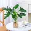 Plantas hidropônicas em vaso com folhagem de primavera, hera, chuva de primavera interna, pequenas plantas verdes perenes, plantas purificadoras de ar para mesa de escritório