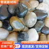 Piedras de flor de lluvia coloridas, guijarros, piedras crudas para paisajismo de acuarios, guijarros blancos pequeños, guijarros suaves, piedras coloridas para el suelo del tanque de tortugas