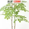 Decoração de Planta Artificial Verde, Planta em Vaso de Olmo Artificial, Grande Enfeite de Chão, Bonsai de Árvore Artificial para Hotéis e Shoppings