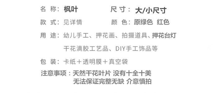 乌桕_副本