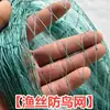 Venta Directa de Fábrica Red Anti-Pájaros Red de Nylon Cría de Ranas Red Anti-Escape Valla para Ranas Toro Estanque de Peces Estanque Locha Red para Cielo