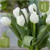 Semillas de bulbos de tulipán, bulbos holandeses de pétalo simple de 5 grados, flores de interior en maceta, florecen todo el año, fáciles de cuidar, aptos para cultivo hidropónico, venta al por mayor