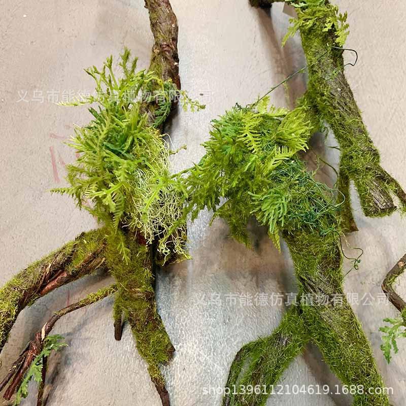 未标题-13