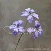 3 cabezas de flores de seda de ylang-ylang, flores artificiales para arreglos de boda, decoración del hogar, decoración de salones de bodas, venta al por mayor de orquídeas artificiales de fuego.