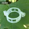 Clipes de Figura-Oito para Jardinagem para Plantas Trepadeiras, Amarração de Pepino e Berinjela, Clipes de Fixação de Plantas, Cordas de Fixação para Árvores Frutíferas, Ferramenta de Amarração de Pepino