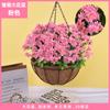 Plantas Colgantes Artificiales Colgantes de Pared Lirio Cesta Pequeña de Flores Flores Falsas Margarita Pequeña Flor de Gloria de la Mañana Rama Decoración del Hogar