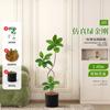 Planta verde artificial Black Diamond seringueira high-end luz de luxo decoração de sala de estar grande piso silencioso vento biônico planta falsa