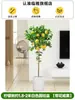 Árvore de limão Four Seasons Fruit em vaso com frete grátis, varanda com mudas de brotos de frutas, plantas de pátio, árvores frutíferas, plantas verdes para ambientes internos