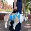 Silla de ruedas para perros con discapacidad en las patas traseras, Asistencia para lesiones en perros mayores, Ayuda para caminar en las extremidades posteriores, Silla de ruedas para parálisis de mascotas, Entrenamiento en silla de ruedas para perros