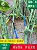 Un Juego de Cuatro Kits Ajustables de Riego por Goteo Agrícola para Riego de Invernaderos, Emisores de Riego por Goteo, Estabilizadores de Flujo para Riego por Microaspersión y Divisores