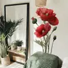 Pegatinas de Pared Brup-Retro Amapola Roja para Sala de Estar, Entrada, Dormitorio, Pegatinas Decorativas Artísticas y de Alta Gama Hs5028K