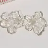 Pétalas de Flor de Íris Exageradas Tipo Vidro Transparente Acessórios de Resina para DIY, Acessórios de Cabelo, Brincos, Decorações de Sapatos, Broches, Presilhas de Cabelo