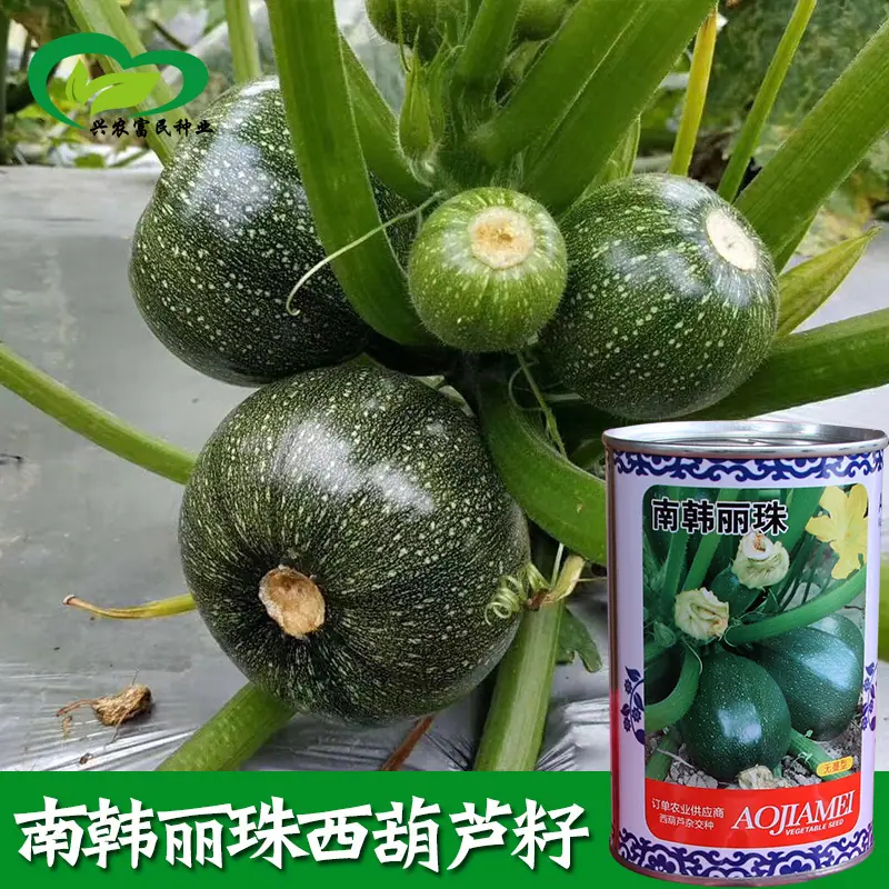 主图1-副本