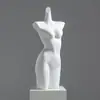 Mannequins de Meia-Corpo Masculino e Feminino para Exposição de Lingerie, Rack para Vitrine de Loja de Lingerie, Manequim, Rack para Exposição de Maiôs e Sutiãs, Modelo de Prateleira