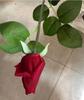Flor artificial de rosa hidratante ao toque, haste única, rosa de Dia dos Namorados, decoração de casa, presente de Dia dos Namorados, botão de rosa
