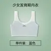 Ropa interior para el período de desarrollo de estudiantes de primaria, Anti-golpes, Camiseta sin costuras, Sujetador de verano fino de seda helada para niñas