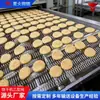 Cinta transportadora Tipo B, acero inoxidable 304, para freír, utilizada en máquinas para papas fritas y chips de papa, y para soldadura por reflujo; Cadena transportadora Tipo B