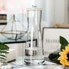 Vaso de Vidro Simples Grande Estilo Europeu Ornamentos Estilo Nórdico ins Decoração para Casa Vaso para Sala de Estar Hidratante de Alta Qualidade
