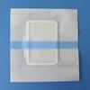 Xiaokang Fabricante de Origen Núcleo de Algodón Impermeable Película de PU Yeso Parche Vacío Transparente Fijación Punto de Acupuntura Parche Vacío Parche de Apósito
