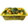 Atacado do Fabricante Cestas de Frutas Plásticas Portáteis para Cerejas, Laranjas, Tangerinas Doces, Morangos e Mirtilos com Alças de Encaixe, Podem Conter 2,5-3kg de Frutas