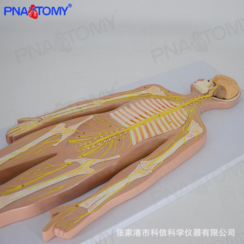 详情-5.jpg