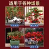 Farolillos pequeños flocados Decoraciones de Año Nuevo Interior Exterior Bonsái Farolillos de Navidad Arreglos para Boda Guirnalda de Farolillos Rojos para Boda