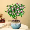 Planta en Maceta Daphne de Phnom Penh, Plántula de Semillero de Pila Vieja de Aroma Fuerte con Capullos, Planta de Flor para Balcón Resistente al Frío, Flor de Interior, Flor de Nochevieja