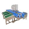 Máquina de Carregamento Automático para Classificação de Peso de Pêssegos, Equipamento de Pesagem e Classificação para Caqui e Bolo de Caqui, Máquina Comercial para Classificação de Maracujá
