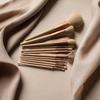 Set de 12 Brochas de Maquillaje Erlu Júpiter 12: Polvo Suelto, Rubor, Contorno, Pincel para Sombra de Nariz, Herramientas de Belleza Sin Costuras, Fijación de Maquillaje, Sombra de Ojos, Corrector