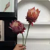 Cardo nórdico peonía artificial flocado de alta calidad suave decoración ramo floral para decoración del hogar, boda y fotografía