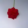 Flor de Rosa de Lana Tejida a Mano con Punta Transfronteriza Mueble Terminado Puesto de Mercado Nocturno Ramo Tejido a Crochet de Lana