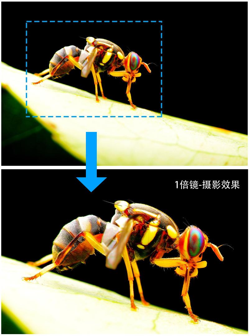 1倍效果
