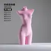 Mannequins de veludo para lingerie de loja de roupas, expositores de sutiã de meio corpo feminino, manequins de cueca masculina