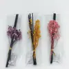 Varillas Difusoras de Aromaterapia sin Llama, Varillas de Fibra para Aromaterapia, Set Cielo Estrellado Eterno, En Bolsas, Difusor de Aceites Esenciales para Interiores, Varillas Aromáticas