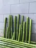 Tubos de bambú de bambú recién cortado bambú verde de alta montaña decoración de arte floral para bodas adornos de creación de ambiente de jardín de infantes secciones cortas de bambú tubos de bambú