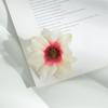 B 6cm Tecido de Seda Crisântemo Artificial Margarida Flores Artificiais DIY Grampo de Cabelo Sapatos Chapéu Guirlanda Acessórios Feitos à Mão Adereços de Cabeça Flores Artificiais