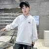 Ropa para niños Sudadera para niño Primavera y otoño 2025 Nuevo estilo Top grande para niño Guapo Primavera Manga larga para niño Moda de primavera