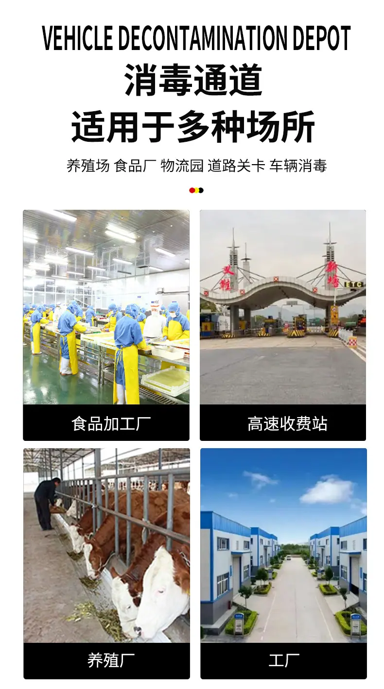 详情页 (7).jpg